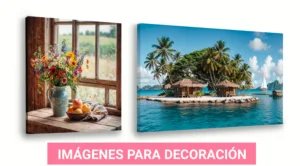 Cuadros para decoración de oficinas, casas, tiendas.